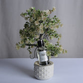 The Power of a Signature Scent